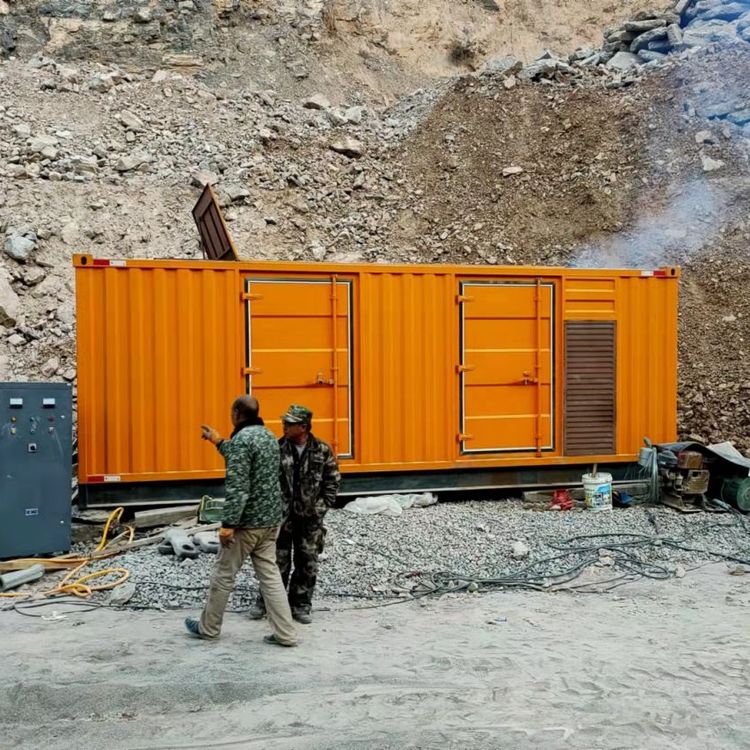 平武如何选择适合自己的 800KW 柴油发电机组?